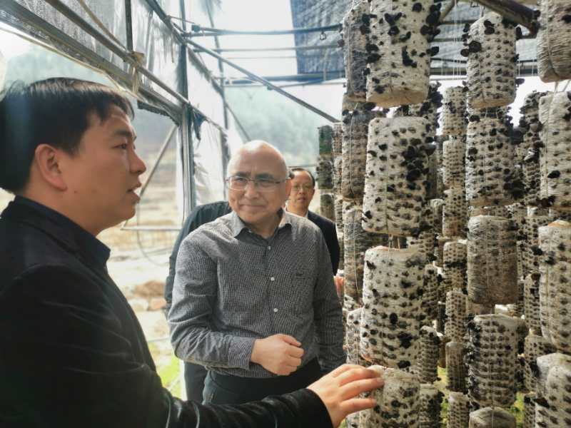 童学军深入岳西调研会员企业复工复产工作