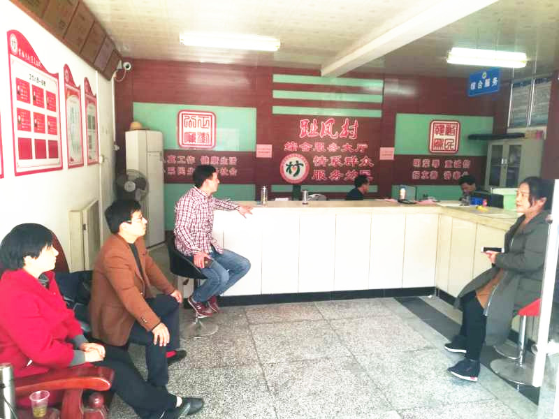 民建安庆市委赴宿松县趾凤乡趾凤村开展脱贫攻坚工作