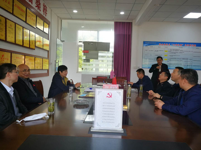 民建安庆市委监督委员会对直属第三（望江）支部监督工作会议召开