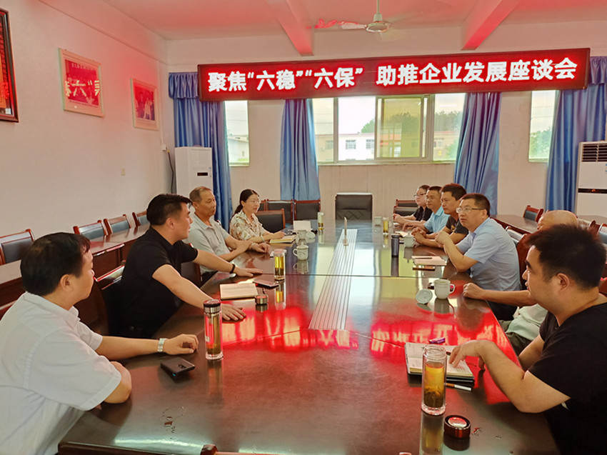 聚焦“六稳”“六保”  助推企业发展——民建安庆市委直属二支部、直属六支部联合开展专题调研活动