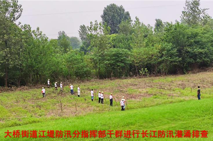 民建安庆市宜秀区委赴大桥街道江堤防汛分指挥部慰问