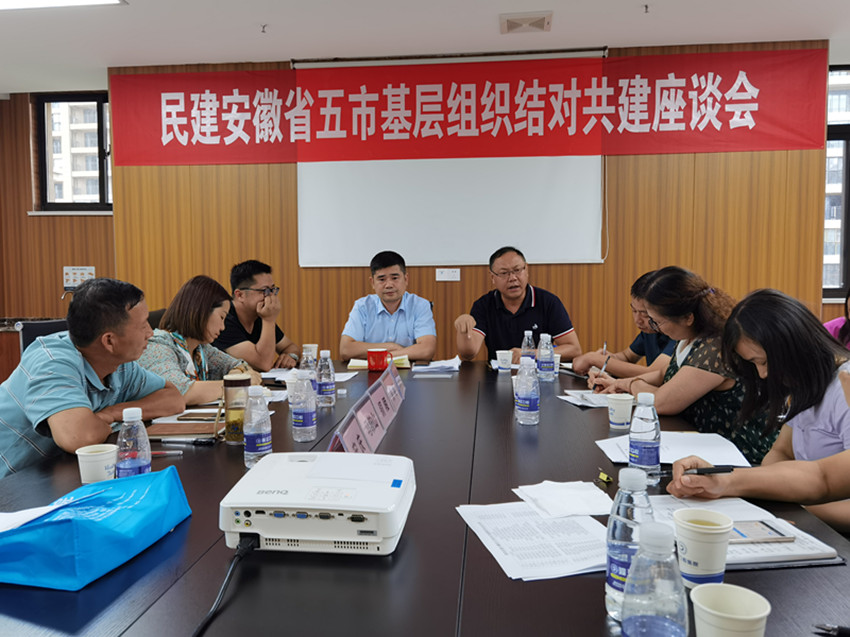 民建安徽省五市基层组织结对共建第四次会议在宜召开
