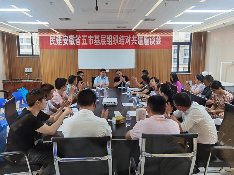 民建安徽省五市基层组织结对共建第四次会议在宜召开