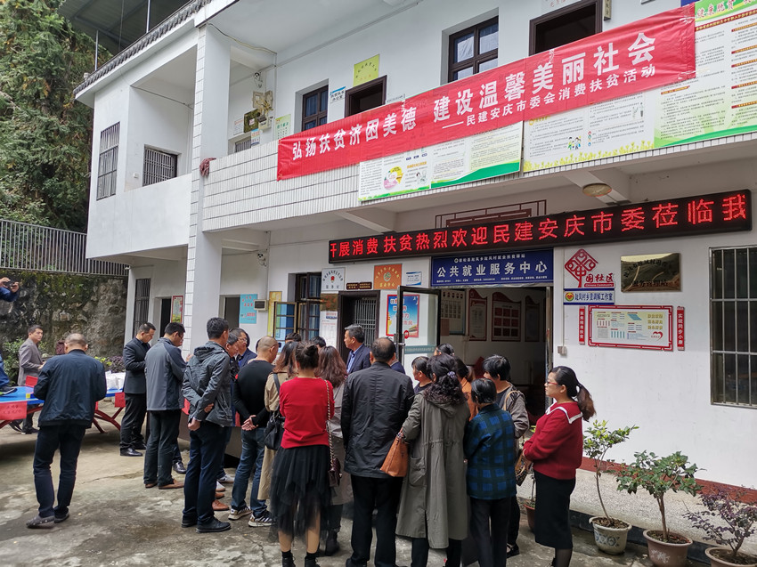 民建安庆市委赴宿松县趾凤乡趾凤乡开展消费扶贫活动