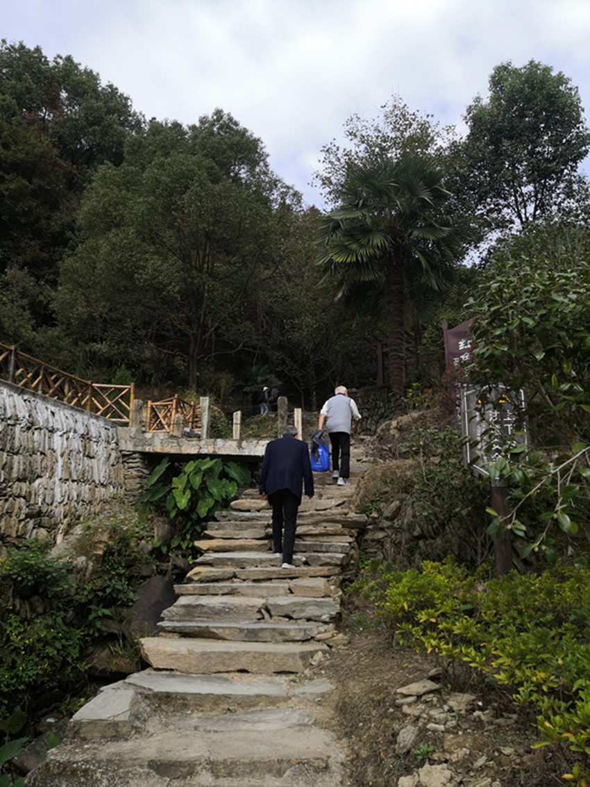 民建安庆市委直属第七（市立医院）支部为老年委活动保驾护航