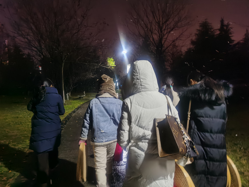 梅花香自苦寒来——民建安庆市2020春节团拜会开场舞排练进行时