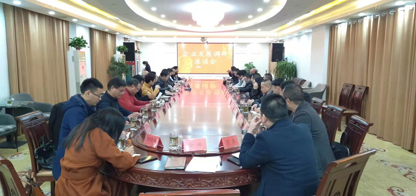 汪家权出席安庆市（民建）企联会理事之家揭牌仪式并调研会员企业