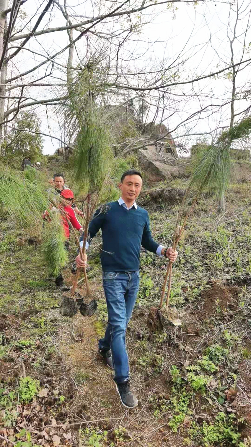 安庆民建企联会第三组联合民建迎江区委四支部开展义务植树志愿者活动