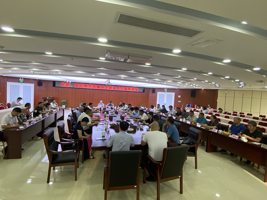 合肥、安庆两市民建企业家会员举行“学党史、红色记忆”主题活动