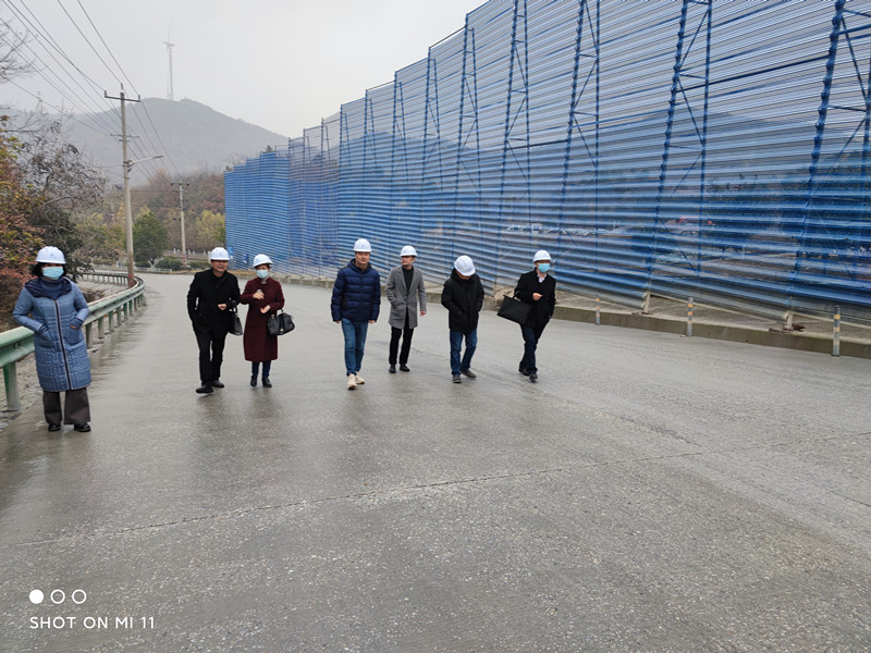 民建安庆市委主委朱菊云走访调研大观区会员企业