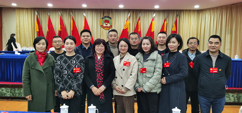 民建会员参加宜秀区“两会”积极参政议政