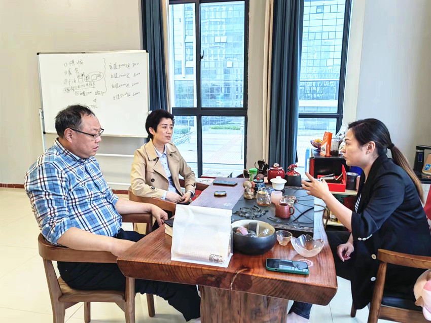 朱菊云走访民建迎江区会员企业