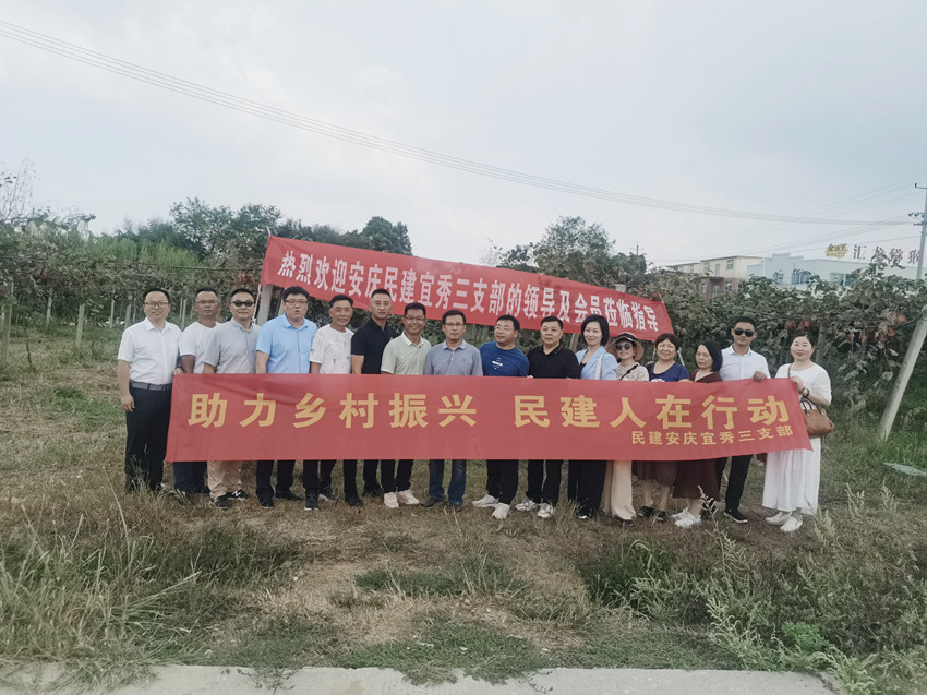 民建宜秀区委三支部 开展“助力乡村振兴，民建人在行动”调研活动