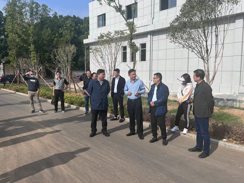 民建安庆市大观区委参加大观区政协监督性视察工作