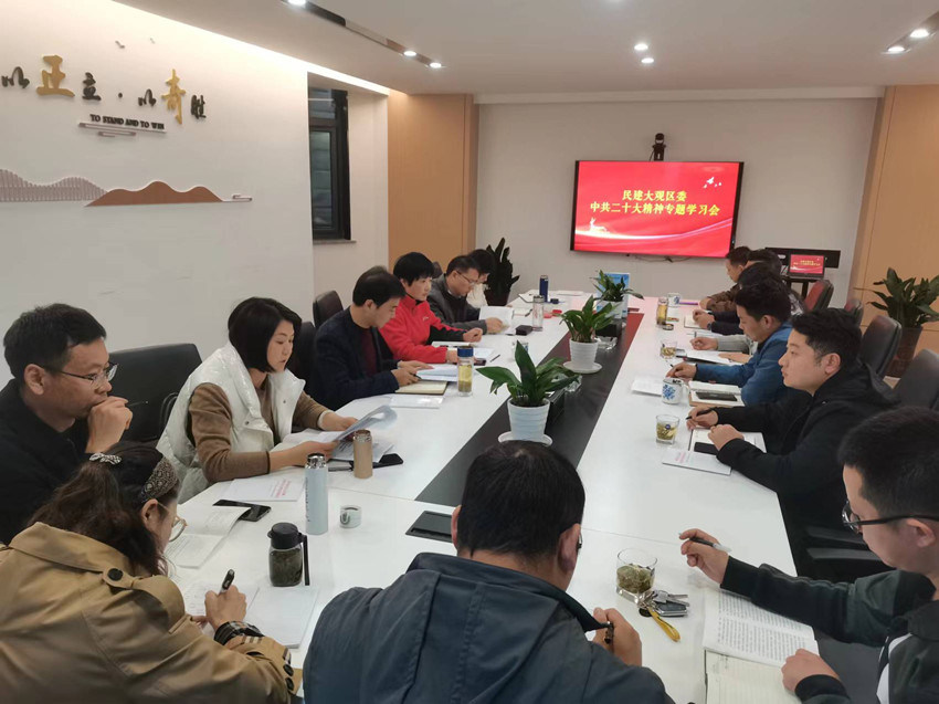 民建安庆市大观区委会召开学习二十大精神专题会议