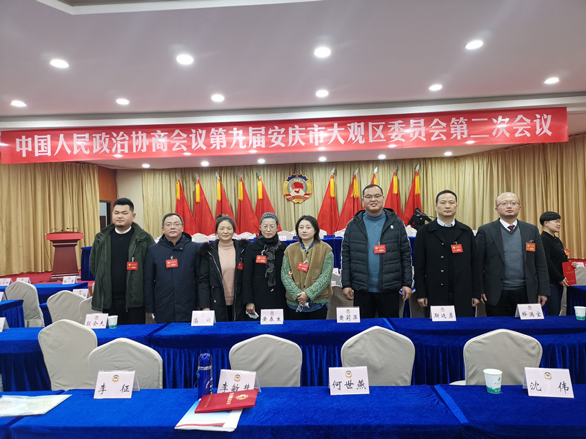 自当扬帆破浪，还需策马扬鞭 ————大观民建会员参加区政协九届二次会议