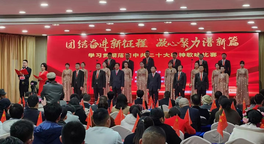 宜秀区委在民建安庆市委会歌咏比赛中获佳绩