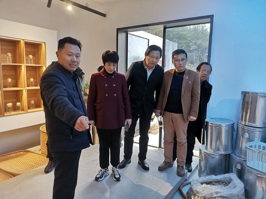 朱菊云赴民建市委直属一支部走访调研