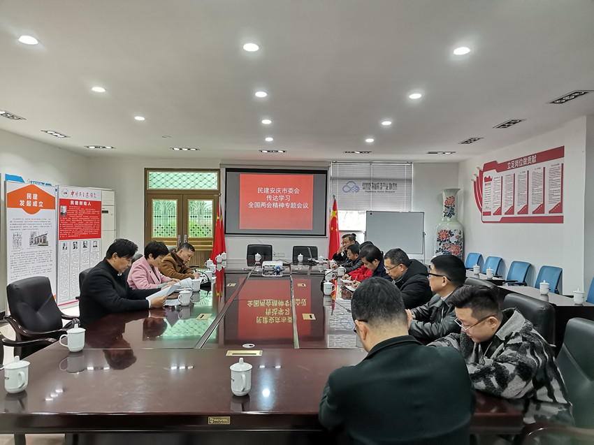 民建安庆市委会召开传达学习全国“两会”精神会议