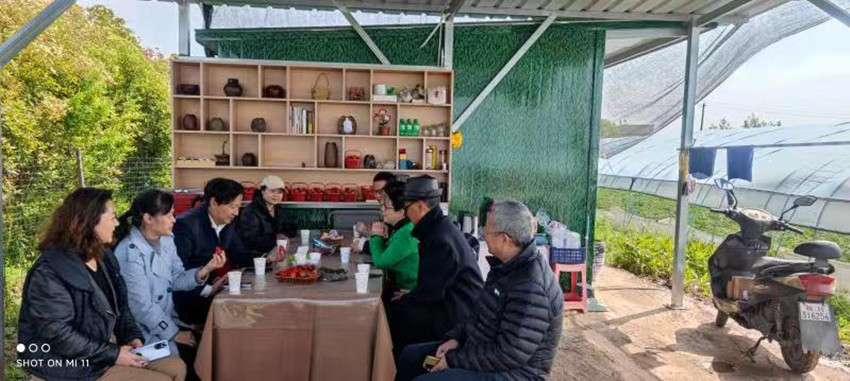 民建安庆市老年委走访阿宝草莓园