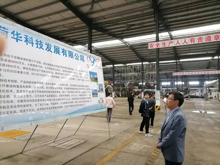 民建安庆市委会专职副主委赴宿松开展长江生态环境大保护民主监督工作