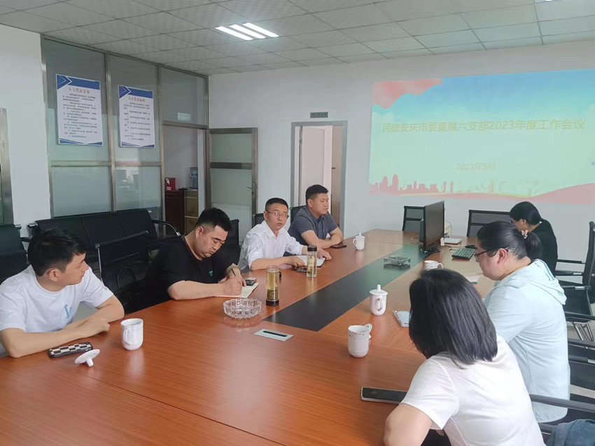 民建安庆市委会直属六支部召开工作会议