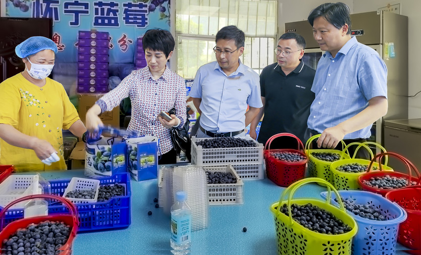 朱菊云走访慰问民建会员企业