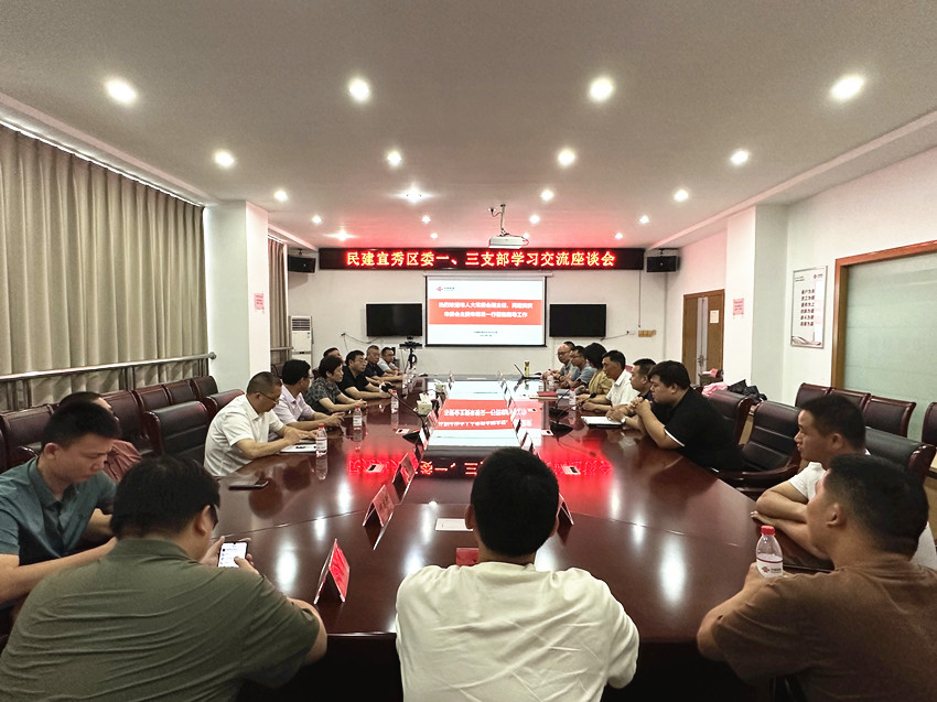 朱菊云出席民建宜秀一支部、三支部“凝心铸魂强根基、团结奋进新征程”主题教育活动