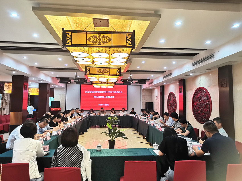 民建安庆市委会召开上半年工作总结座谈会暨“凝心铸魂强根基、团结奋进新征程”主题教育工作推进会