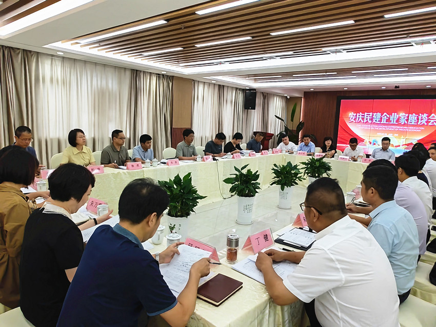 安庆民建企业家座谈会召开