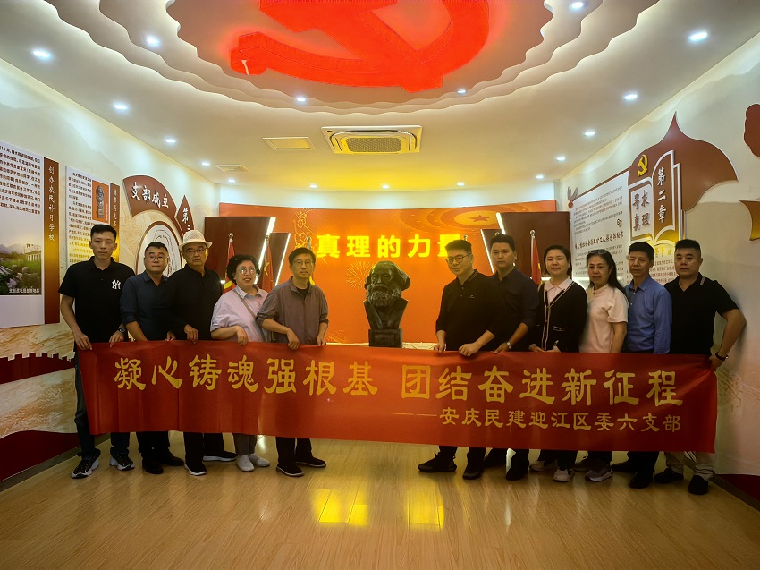 民建迎江区委六支部开展“凝心铸魂强根基 团结奋进新征程”主题教育活动