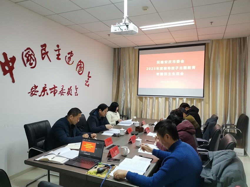 民建安庆市委会召开领导班子“凝心铸魂强根基 团结奋进新征程”主题教育专题民主生活会