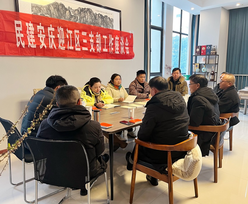 民建迎江三支部召开“凝心铸魂强根基 团结奋进新征程”主题教育专题民主生活会暨年初工作会议