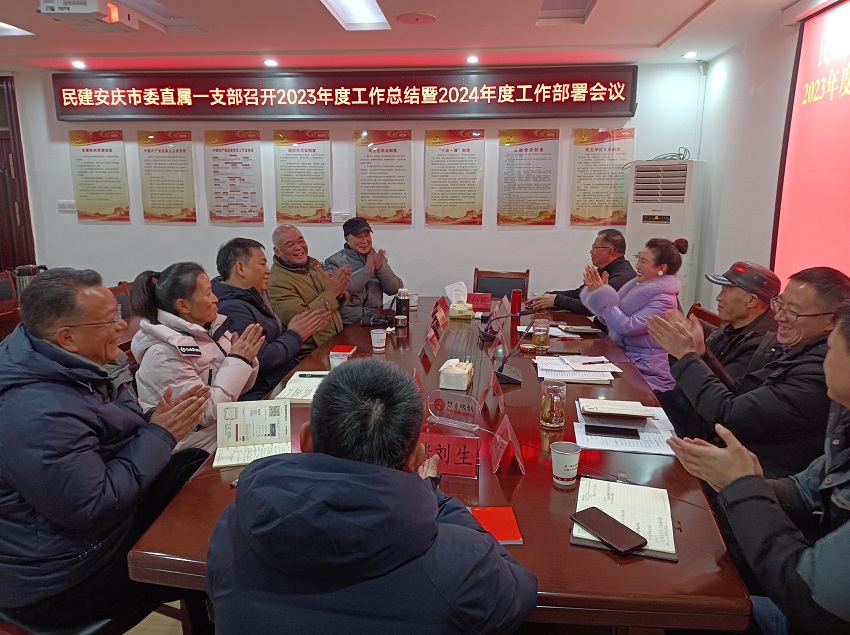 民建安庆市委会直属一支部召开年度工作总结会议