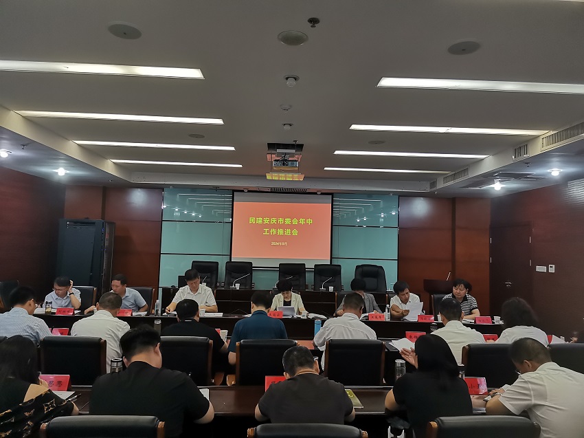 民建安庆市委会召开年中工作推进会