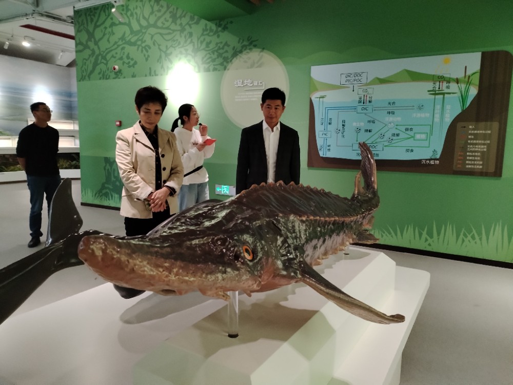 1730104279217611.jpg 914a277df4b79e41add08ffc293d8c9.jpg