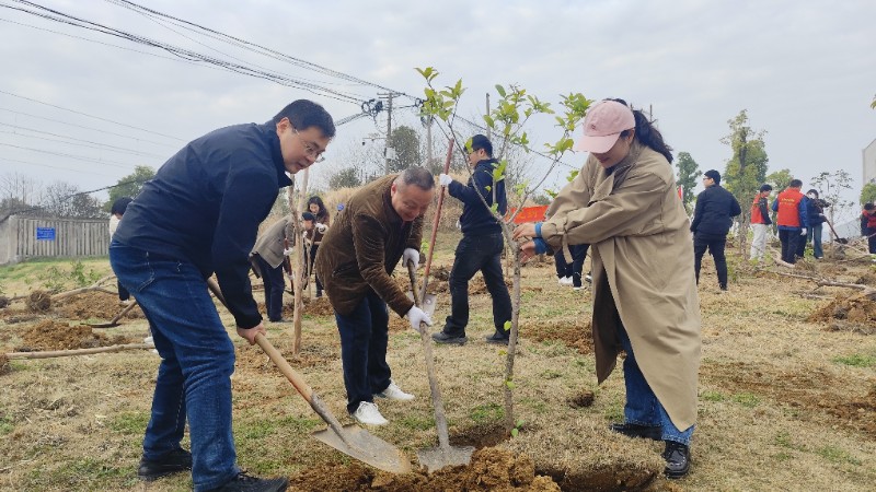 1741740394550849.jpg 5deb627c1a68e2bcd4375db5a7b189b.jpg