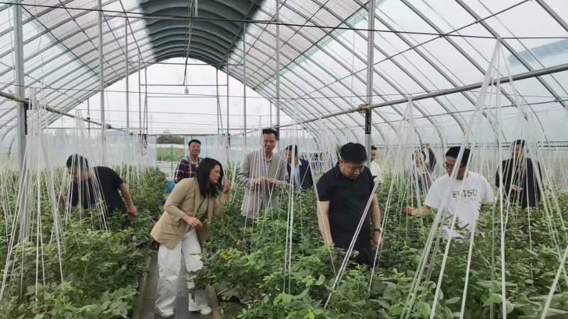 1748241980655201.jpg a66438ab526d42d9cc8c52c7485dda1.jpg