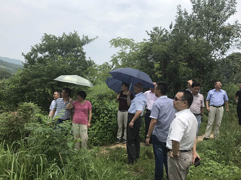 webwxgetmsgimg (2)_副本.jpg