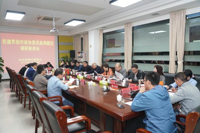 安庆市政协民建界别委员赴高新区调研3.jpg